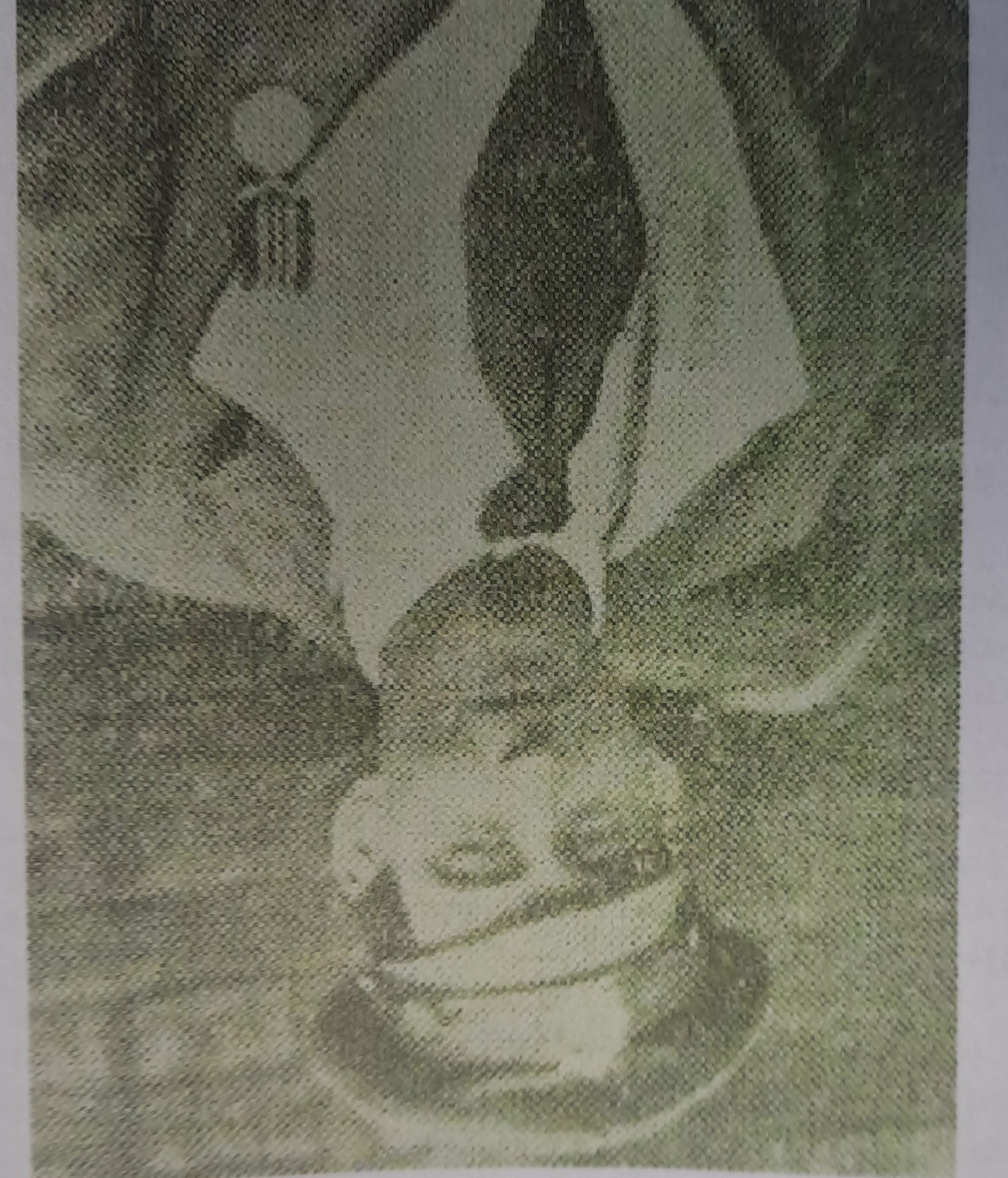William Langton a Cleator Moor Hero !